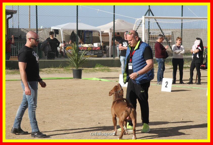 180311 mostra_canina 109.jpg